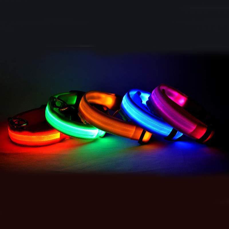 Night Safety LED Dog Collar - USB Rechargeable Flashing Nylon Glow Collar for High Visibility | Adjustable Pet Leash for Dogs & Cats
