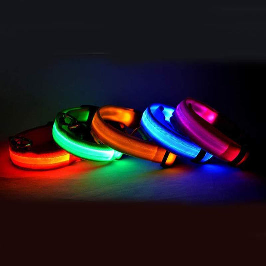 Night Safety LED Dog Collar - USB Rechargeable Flashing Nylon Glow Collar for High Visibility | Adjustable Pet Leash for Dogs & Cats