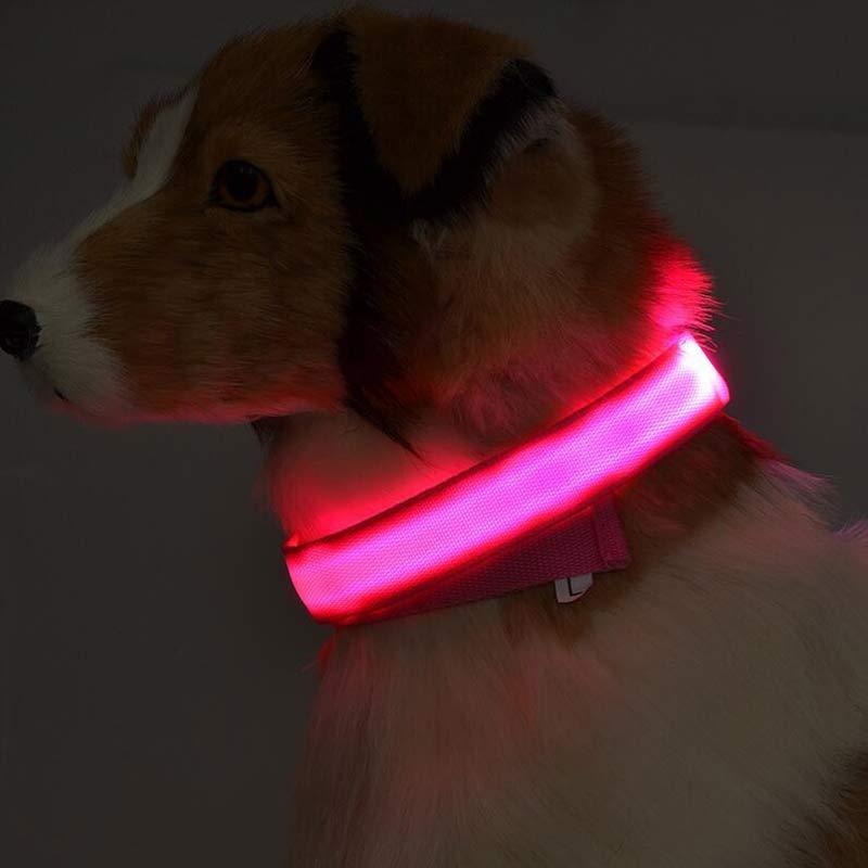 Night Safety LED Dog Collar - USB Rechargeable Flashing Nylon Glow Collar for High Visibility | Adjustable Pet Leash for Dogs & Cats