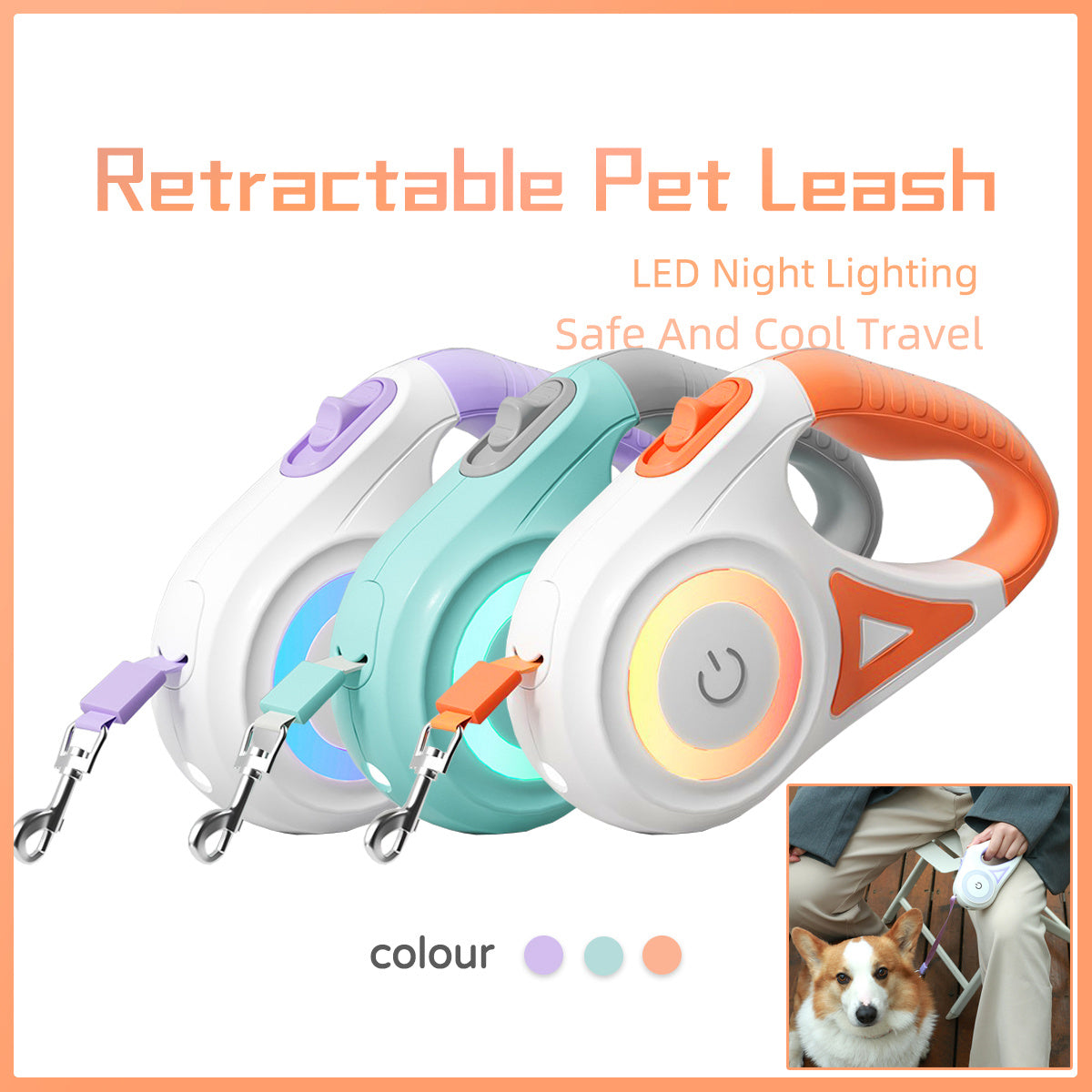 Retractable Dog Leash and Collar Set for Small & Medium Dogs – Tangle-Free Automatic Pet Leash, Durable Nylon Traction Rope for Dogs & Cats